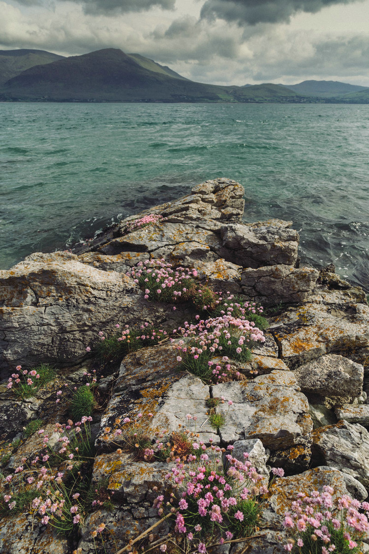 1659920384494946.jpeg pexels-photo-8699060.jpeg