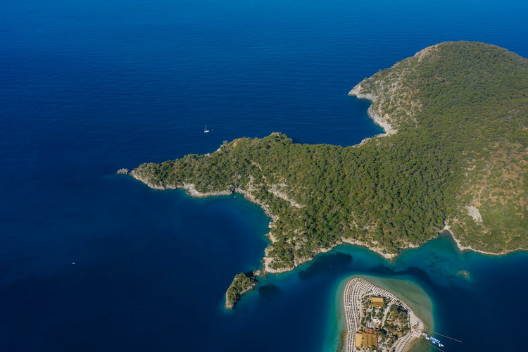 COD檢測儀 COD檢測儀