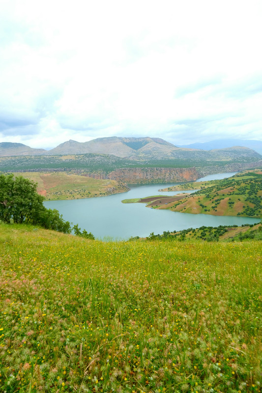 總磷水質在線自動監測儀 總磷水質在線自動監測儀