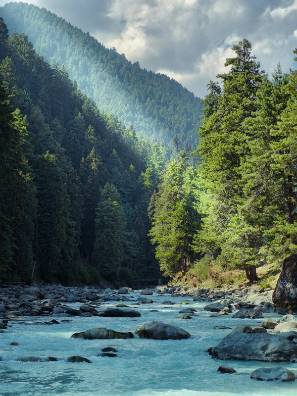 河流氨氮濃度 河流氨氮濃度