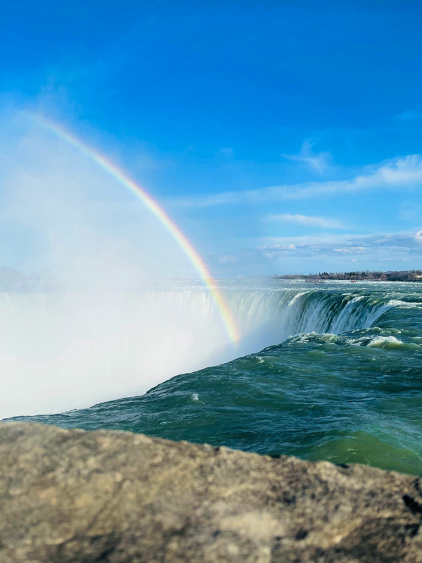 在線葉綠素檢測儀 在線葉綠素檢測儀